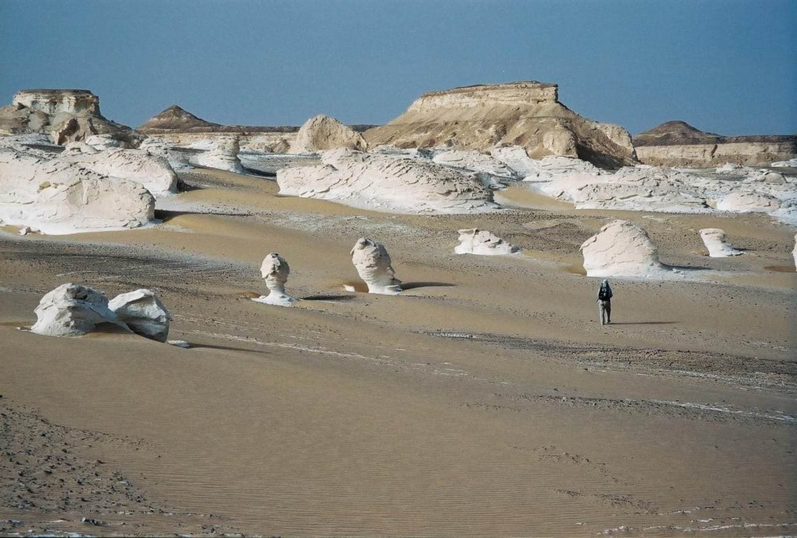 Bahariya Oasis
